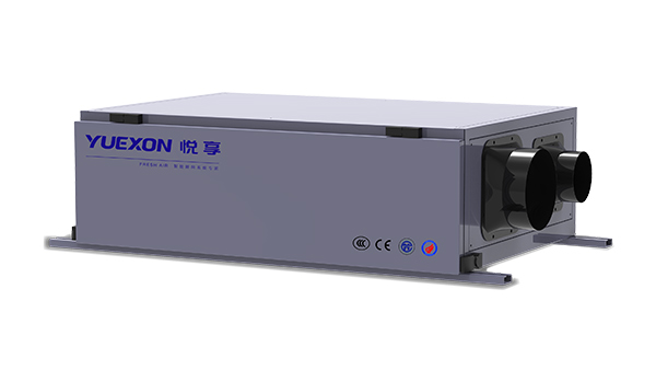 凈化除濕新風系統(tǒng)45DFE